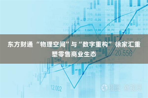 东方财通 “物理空间”与“数字重构” 徐家汇重塑零售商业生态